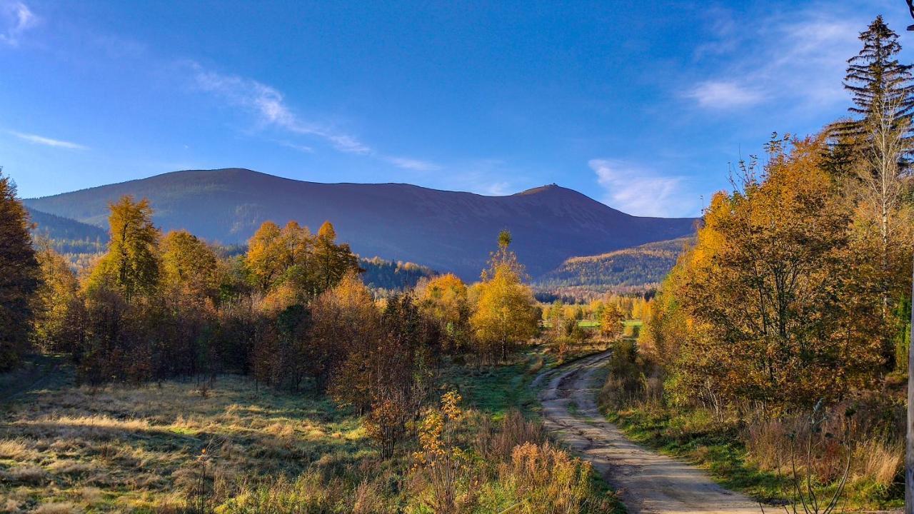 Koniczynka Ściegny Exterior foto