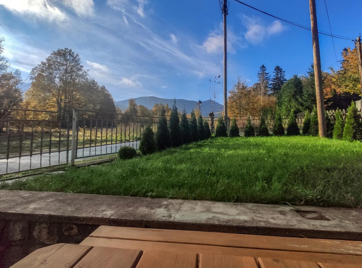 Koniczynka Ściegny Exterior foto